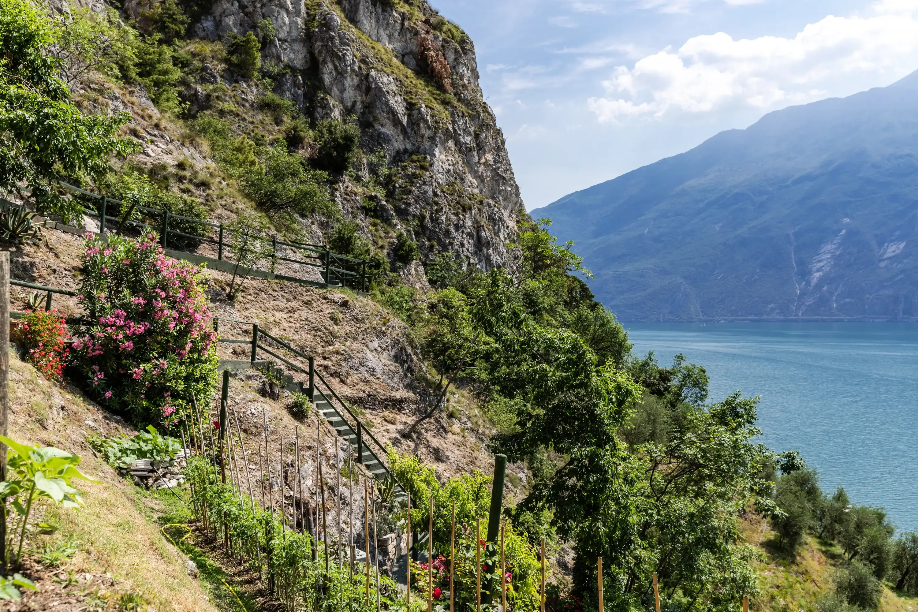Scenic hillside path with greenery overlooking a lake and mountains