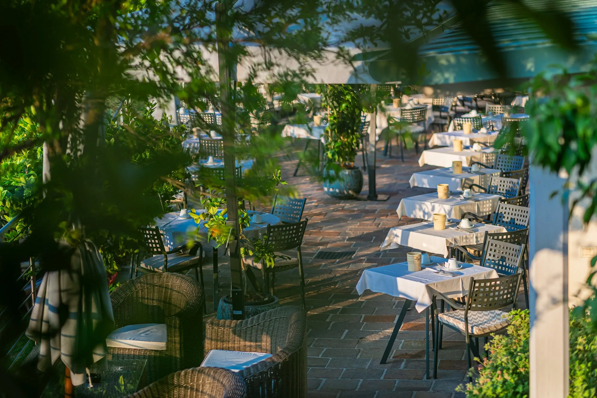 Terrazza ristorante all'aperto con tavoli apparecchiati tra piante