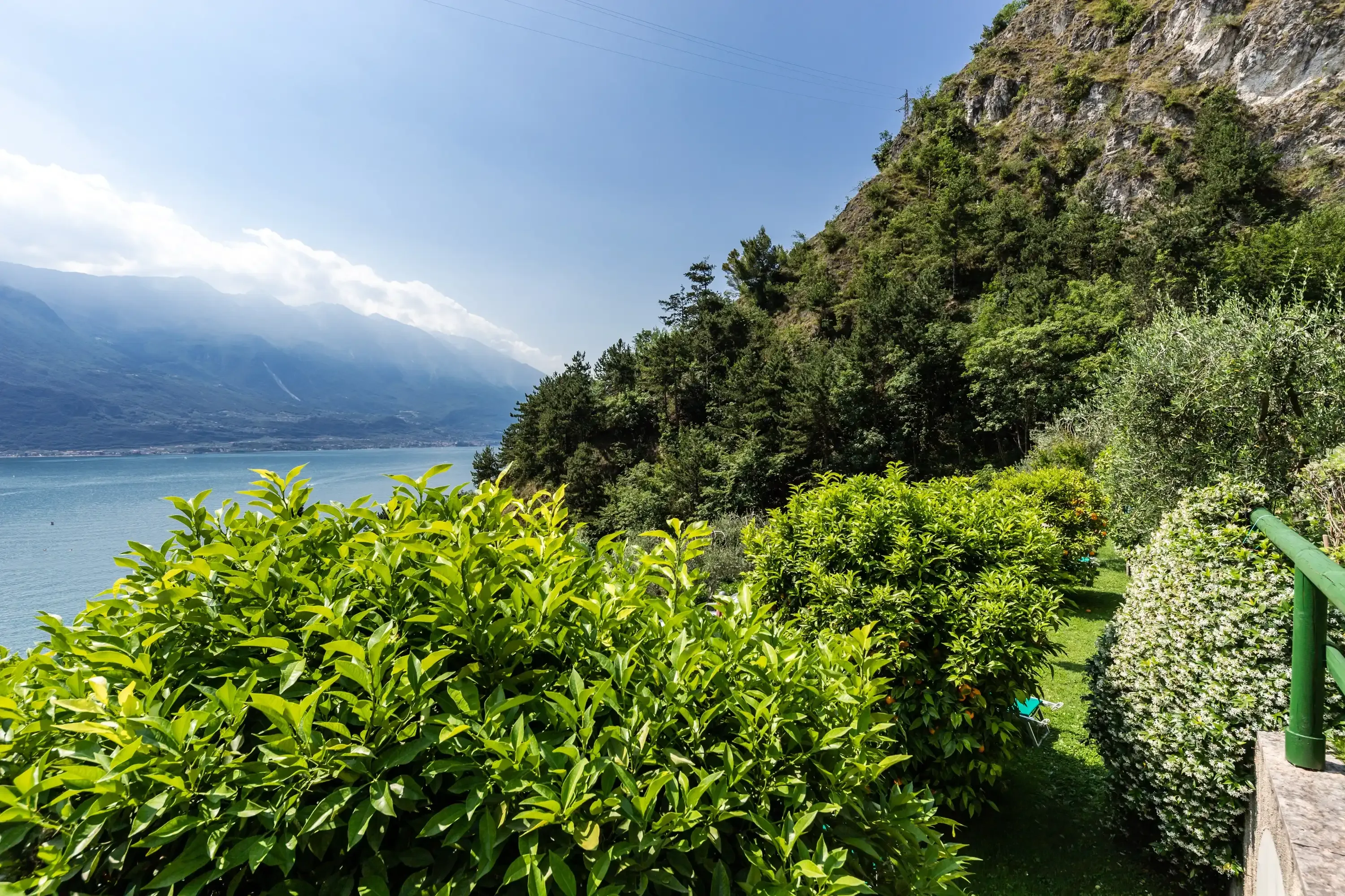 Vista panoramica sul lago con vegetazione lussureggiante e montagne